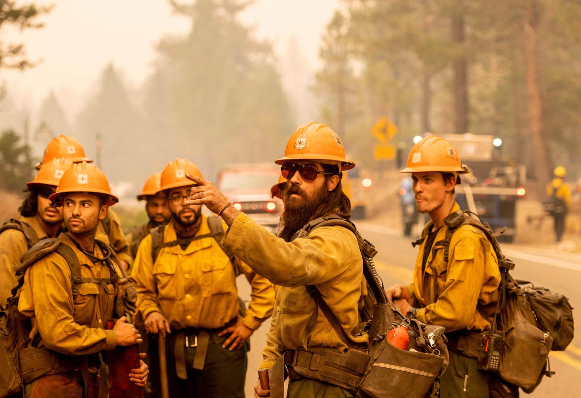Forest Fire Fighters