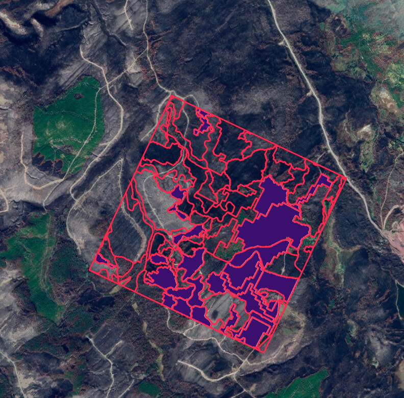 Rasterized version of a vegetation photo plot used in wildfire fuel mapping