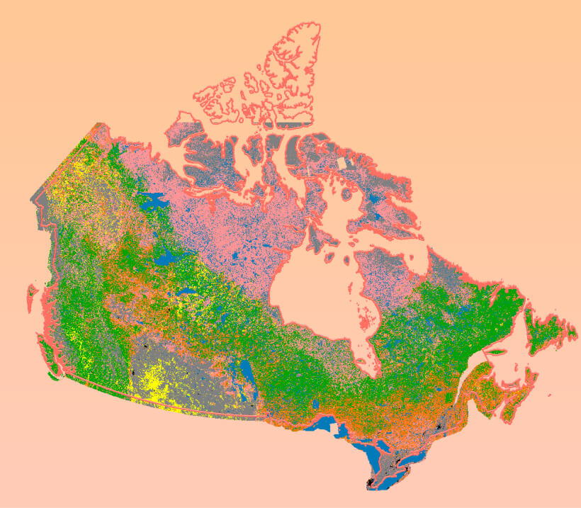 Wildfire Fuel Map for Canada
